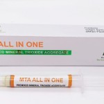 Dengen MTA All-In-One 3gm