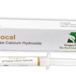 Dengen Dengocal Calcium Hydroxide Paste 3gm
