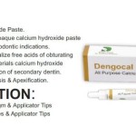 Dengen Dengocal Calcium Hydroxide Paste 3gm