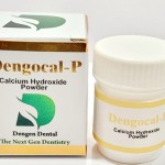 Dengen Dental Dengocal P Calcium Powder