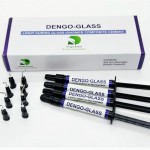 Dengen Dengoglass Light Cure Gic 4*2gm
