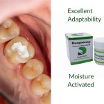 Dengen Dental Dengotemp Temporary Filling [ 40gm Jar ]