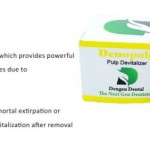 Dengen Dental Denopulp Devitalizer Jar 6gm