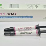 Dengen Early Coat Pit & Fissure Sealant 2X2gm