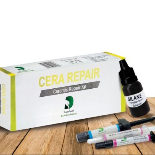 Dengen Porcelain Repair Kit