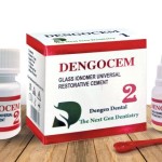 Dental Dengen Dengocem 2 Glass Ionomer Cement