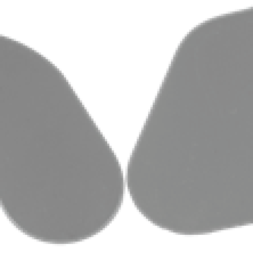 Special Tray Plates