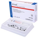Prevest Zical Automix RC Sealer