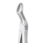 EXTRACTION FORCEPS ERGONOMIC