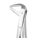 EXTRACTION FORCEPS ERGONOMIC