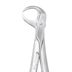 EXTRACTION FORCEPS ERGONOMIC