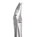 EXTRACTION FORCEPS ERGONOMIC