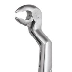 EXTRACTION FORCEPS PREMIUM