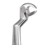 EXTRACTION FORCEPS PREMIUM