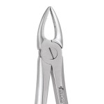 EXTRACTION FORCEPS PREMIUM