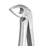 EXTRACTION FORCEPS PREMIUM