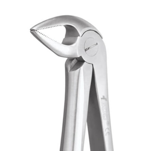 EXTRACTION FORCEPS PREMIUM