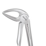 EXTRACTION FORCEPS PREMIUM