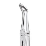 EXTRACTION FORCEPS PREMIUM