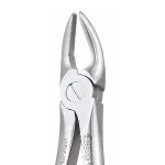 EXTRACTION FORCEPS PREMIUM
