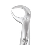 EXTRACTION FORCEPS PREMIUM