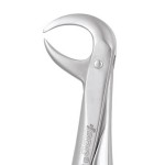 EXTRACTION FORCEPS PREMIUM