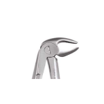EXTRACTION FORCEPS STANDARD