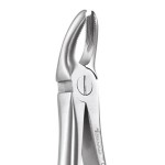 EXTRACTION FORCEPS STANDARD
