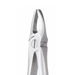 EXTRACTION FORCEPS STANDARD