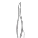EXTRACTION FORCEPS STANDARD
