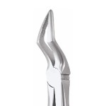 EXTRACTION FORCEPS STANDARD