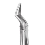 EXTRACTION FORCEPS STANDARD