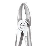EXTRACTION FORCEPS STANDARD