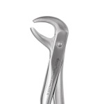EXTRACTION FORCEPS STANDARD