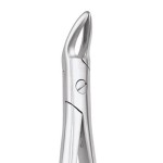 EXTRACTION FORCEPS STANDARD