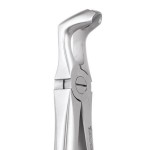EXTRACTION FORCEPS STANDARD