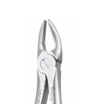 EXTRACTION FORCEPS STANDARD