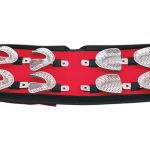 PROSTHODONTIC INSTRUMENT KITS