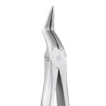 EXTRACTION FORCEPS SECURE