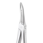 EXTRACTION FORCEPS SECURE