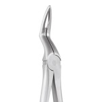 EXTRACTION FORCEPS SECURE