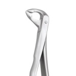 EXTRACTION FORCEPS SECURE