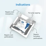 Waldent Endolife MTA (One Treatment Kit)