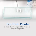 Waldent Zinc Oxide Powder