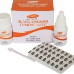 Pyrax Glass Ionomer Cement - Lute Type I