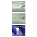 Septodont Bio Root RCS ( Permanent root canal filling for vital/necrotic pulp)