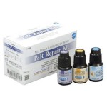 Shofu P & R Repair Kit